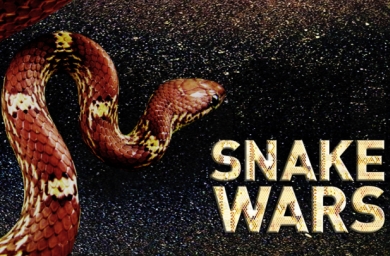 Snake Wars